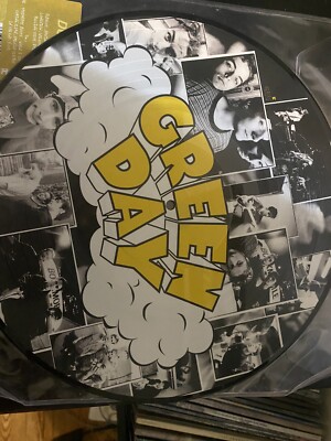 GREEN DAY dookie レコード LP ピクチャーディスク 限定盤 green day