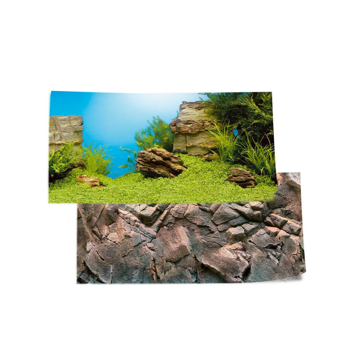 Juwel Poster 1 - XL (150cm x 60 cm)