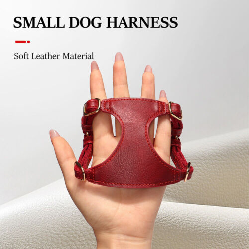 Job Lot Leatherette Dog Harnesses Lead Set for Small Dogs 61 pieces - Picture 11 of 21
