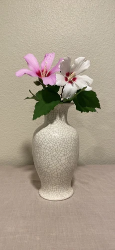 napcoware crackle vase