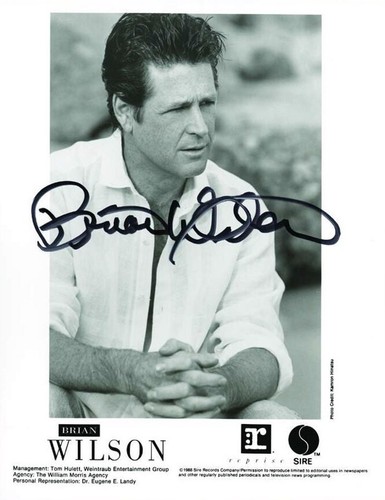 BRIAN WILSON Signed Photograph - Beach Boys Songwriter 7"x5" reprint - 第 1/1 張圖片