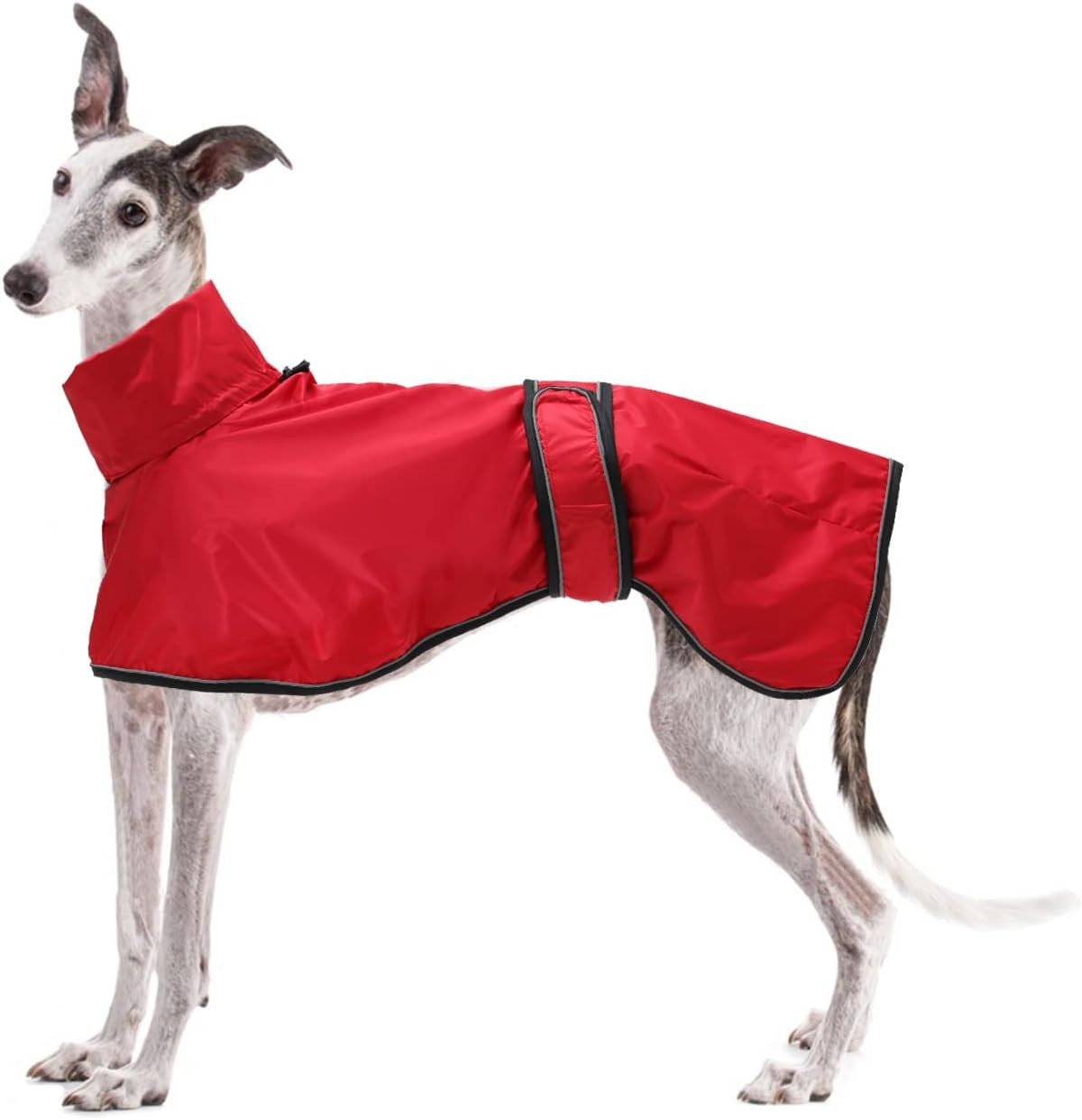 Impermeabile Cane Leggero Riflettente - Giacca Pioggia Regolabile Online