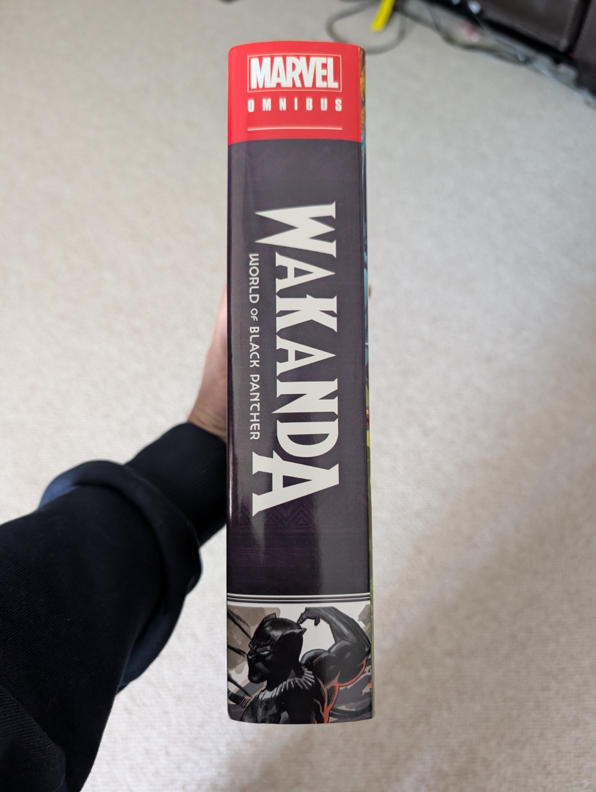 Wakanda World Of Black Panther Omnibus thumbnail 2