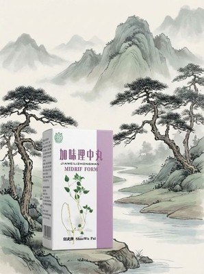 Jia Wei Li Zhong Wan - Midrif Form - TCM Kräuterrezeptur - Shao Wu Pai - 加味理中丸
