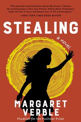 Stealing: An Acclaimed Own Voices Coming-of-Age Story   A Cherokee Girl's ...