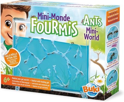BUKI FS4206 - Mini-Ameisenwelt