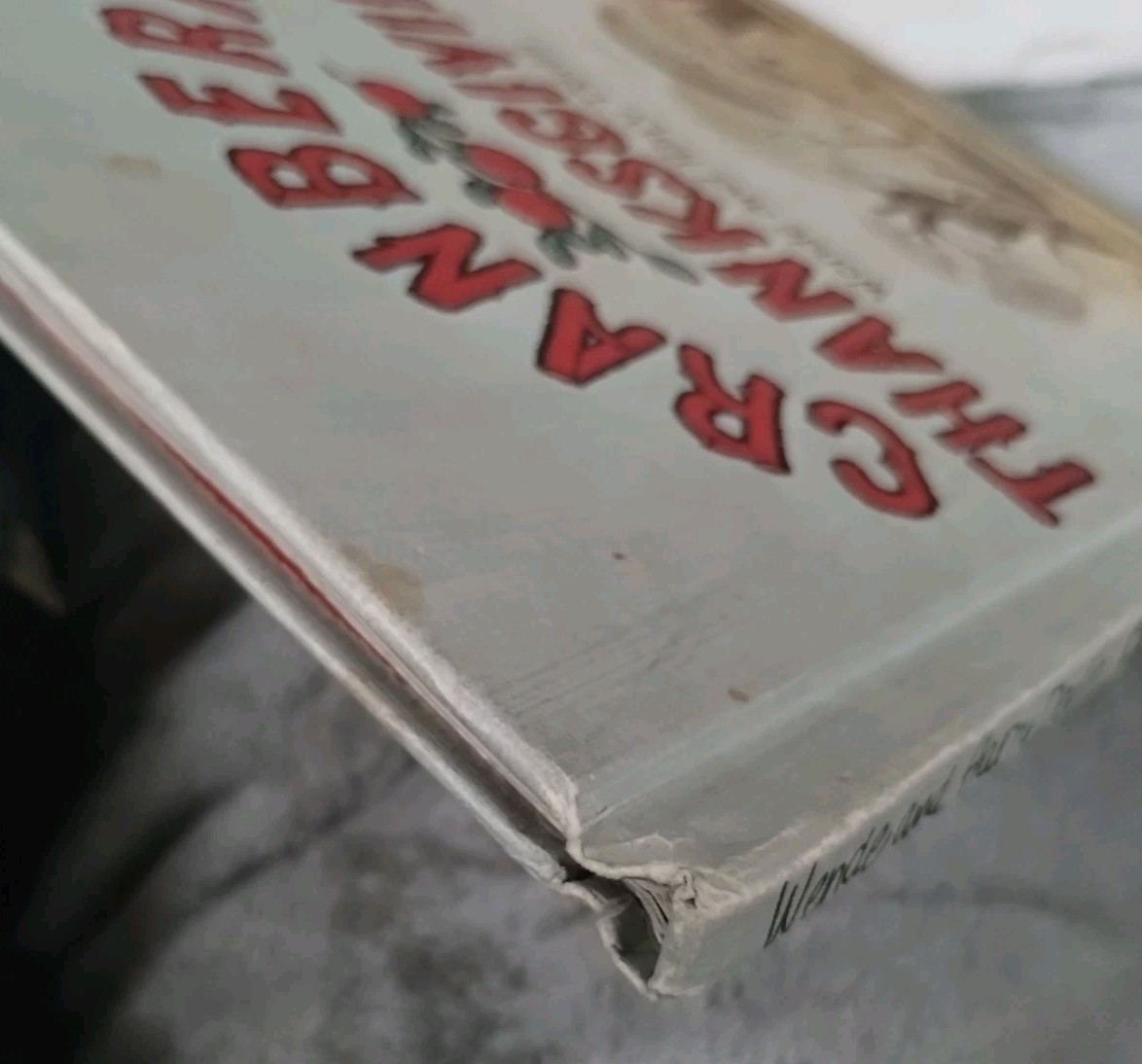 Picture 4 of 13