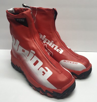 alpina elite 90 ski boots