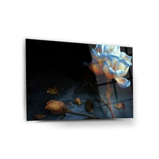 Awakening Tempered Glass Wall Art, Easy Installation, Fade Proof  Wall Decor