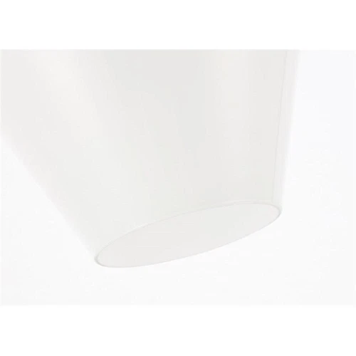 Living District Gene 1-Light Metal & Glass Flush Mount in Black/Frosted White - Picture 10 of 10