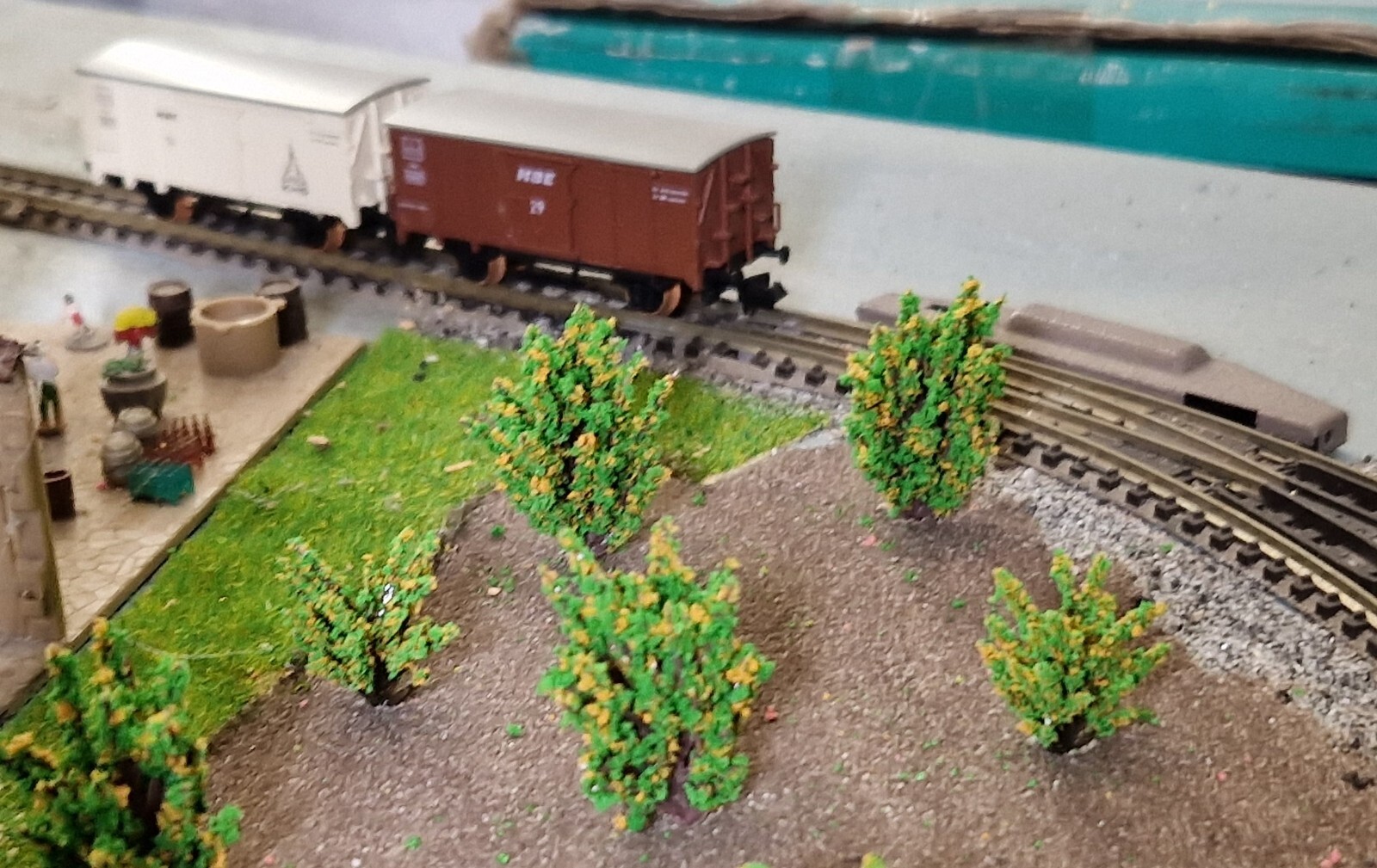 20 Yellow Blooming Bushes, Shrubs, 28 and 40 mm High, for Landscape Construction