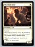 Charmed Stray 