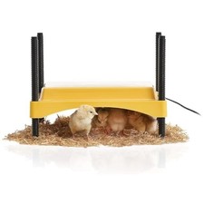 Chick Brooder Plate for Up To 20 Chicks, 12W Radiant Heat, Yellow/Black