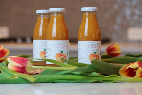 Organic Apricot Juice, Cold Pressed, 100% Fruit, No Sugar, Vegan, 8.4 oz, 12 ... - Picture 4 of 6