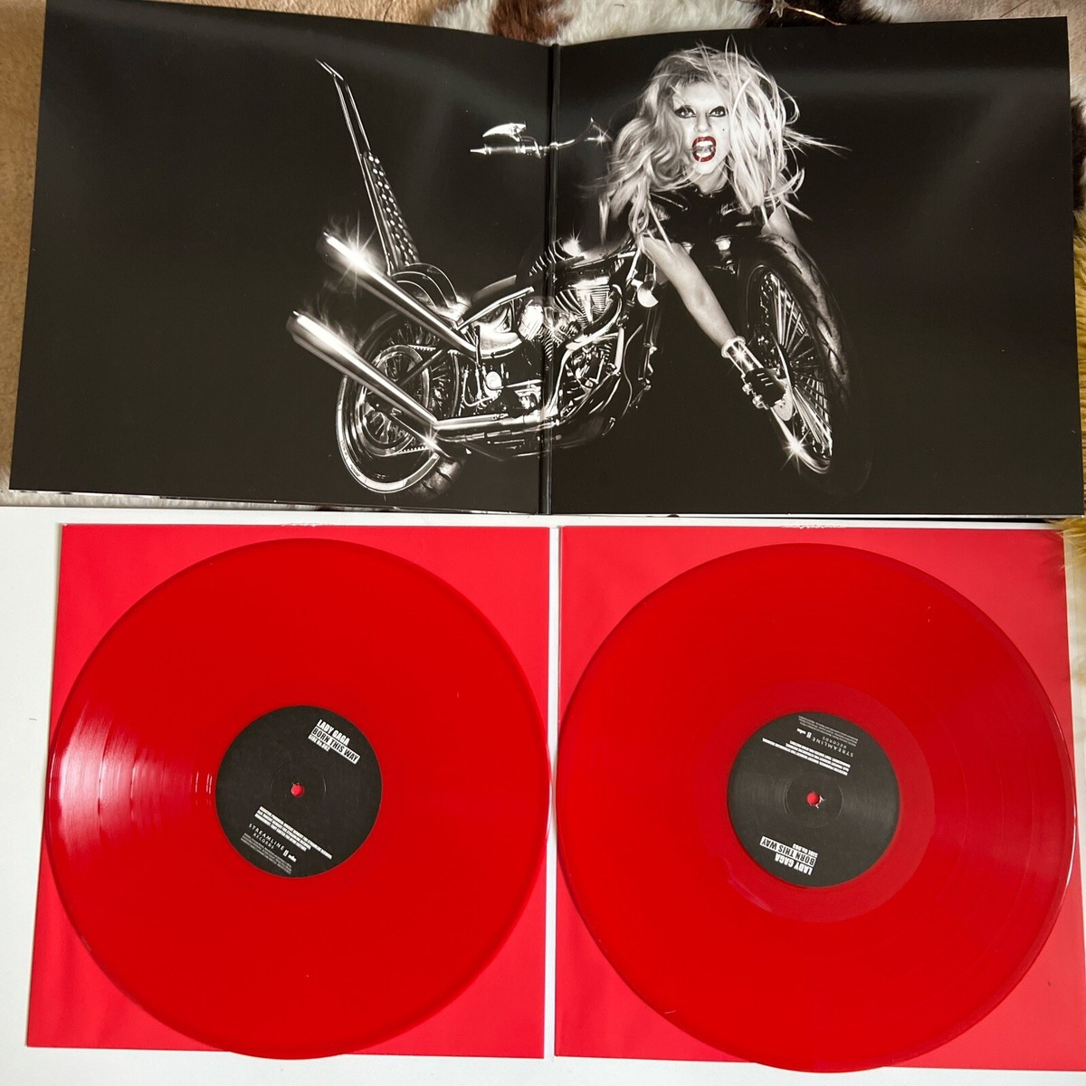 Lady Gaga Born This Way サイン入り缶ケース Lady Gaga Born This Way サイン入り缶ケース