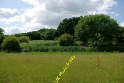 Foto 6x4 Kuckuckspfad von angrenzender Wiese Grove Hill\/TQ6014 Die alte RA c2010