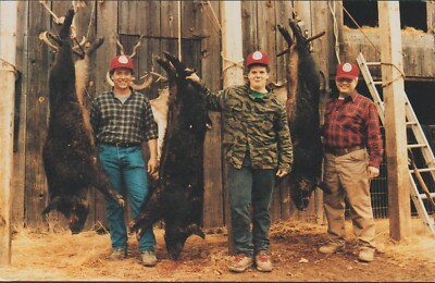 Maryland Heights MO. Wild Hog Hunt High Adventure Ranch Advertising Postcard
