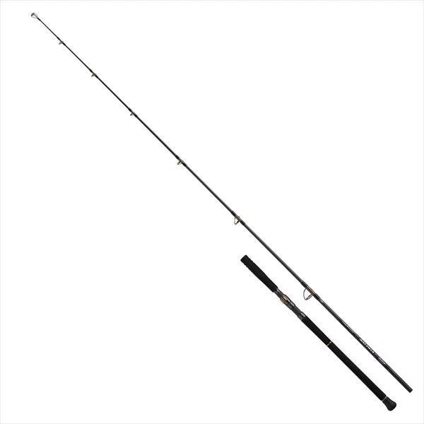 Daiwa 26 SALTIGA C BULLSWING 80-4 Spinning Rod
