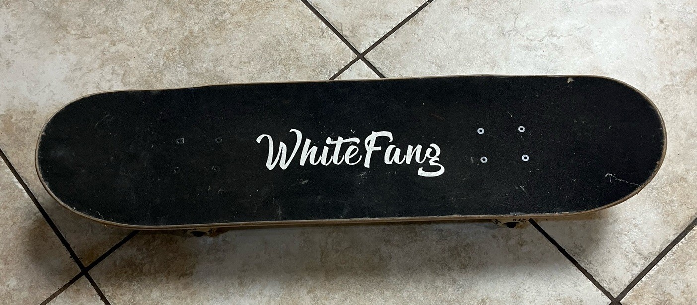 31 Inch Complete Skateboard Double Kick Skate Board