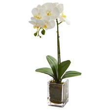Nearly Natural 24  Orchid Phalaenopsis Artificial Arrangement In Vase Cream