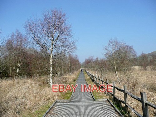 PHOTO CORS CARON IN MARCH NEAR TREGARON CEREDIGION THIS EXCELLENT ROUTE ALLOWS - 第 1/1 張圖片