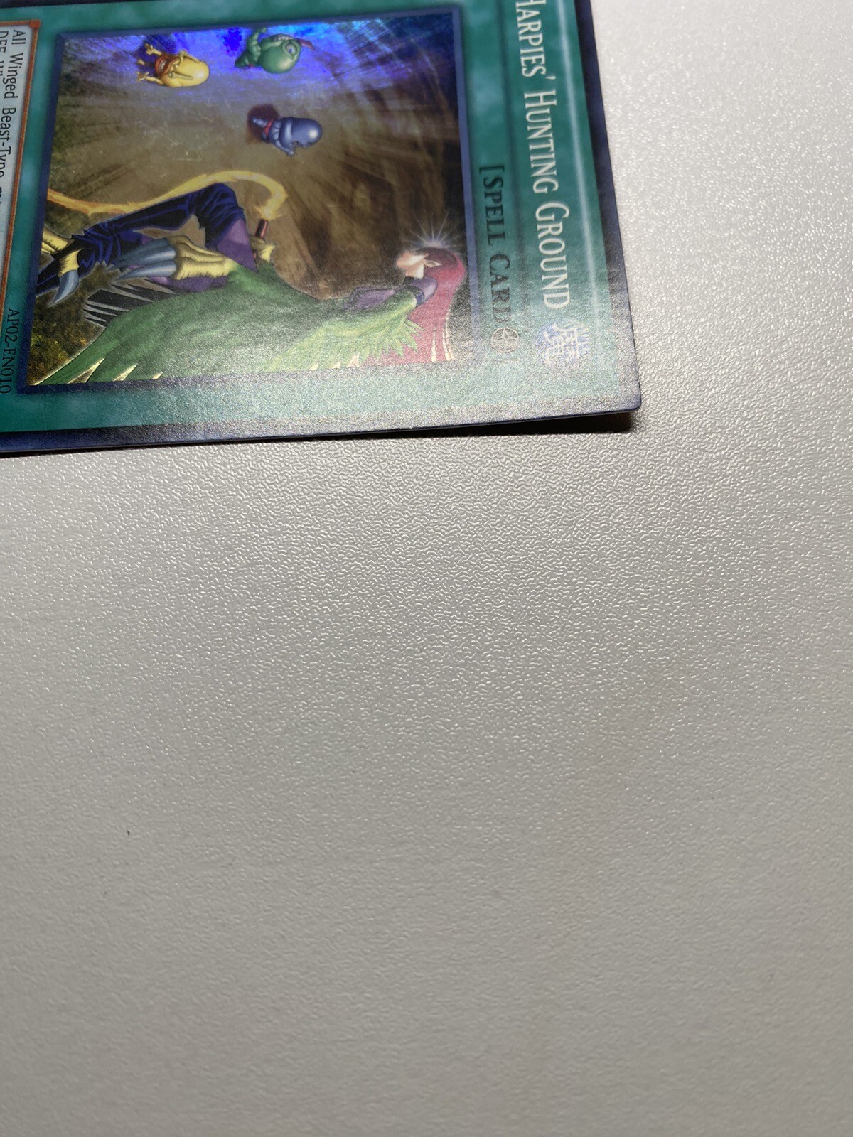 Picture 9 of 24
