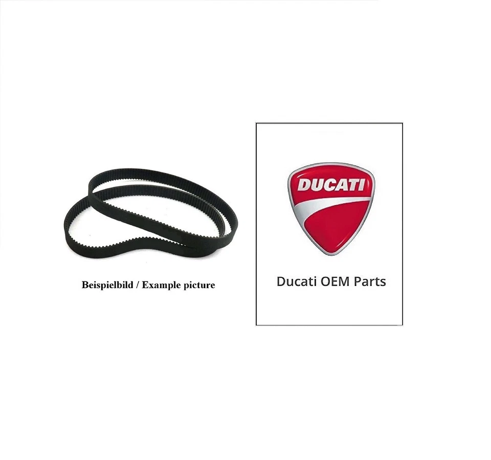 Ducati Pantah 350 500 600 650 XL SL TL groupe de distribution set 2x courroies