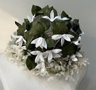 Picture 4 of 9