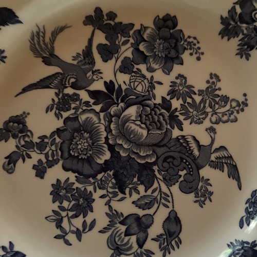 Unicorn Staffordshire Asiatic Pheasant Blue And White Dinner Plates Set Of 9 - Picture 3 of 5