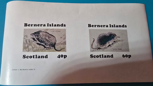 BRIEFMARKE / CINDERELLA / BERNERA ISLAND / MOTIV TIERE / MAUS / UNGEZÄHNT