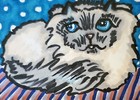 Himalayan Pout Cat Aceo Original Miniature Art Painting by Artist Ksams 2.5x3.5