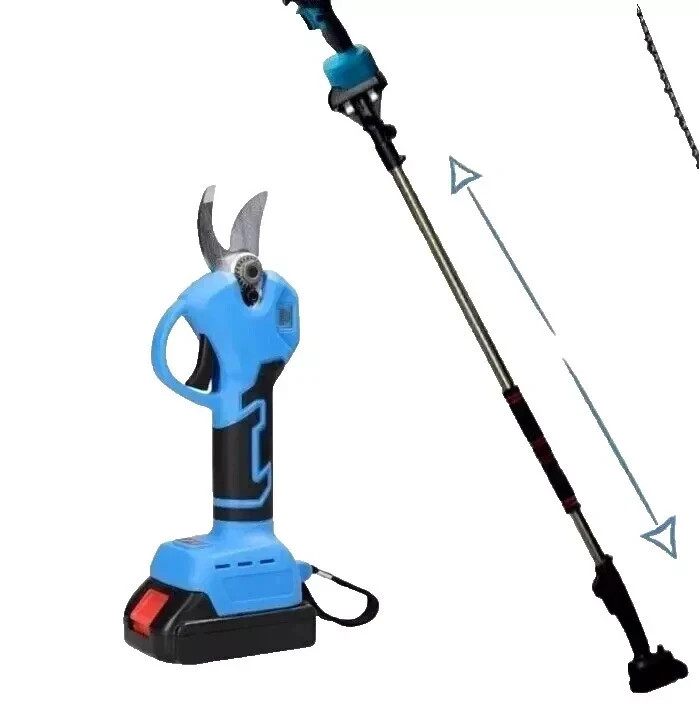 Kit Potatura Professionale con Asta Telescopica e Forbice Doppia Batteria