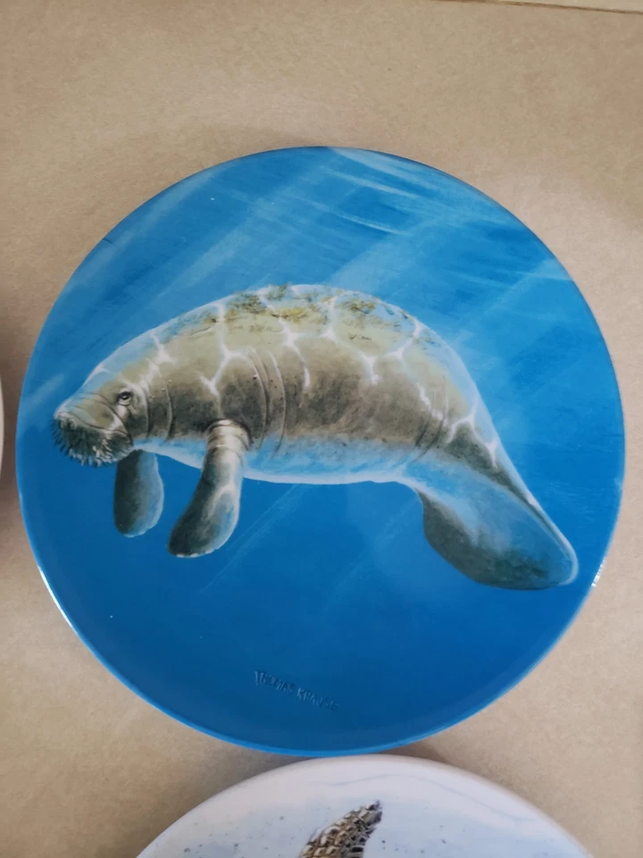 Conjunto 4 pratos de jantar de melamina peixe-boi tartaruga marinha 81/2" Thomas Krause praia náutica - Imagem 4 de 4