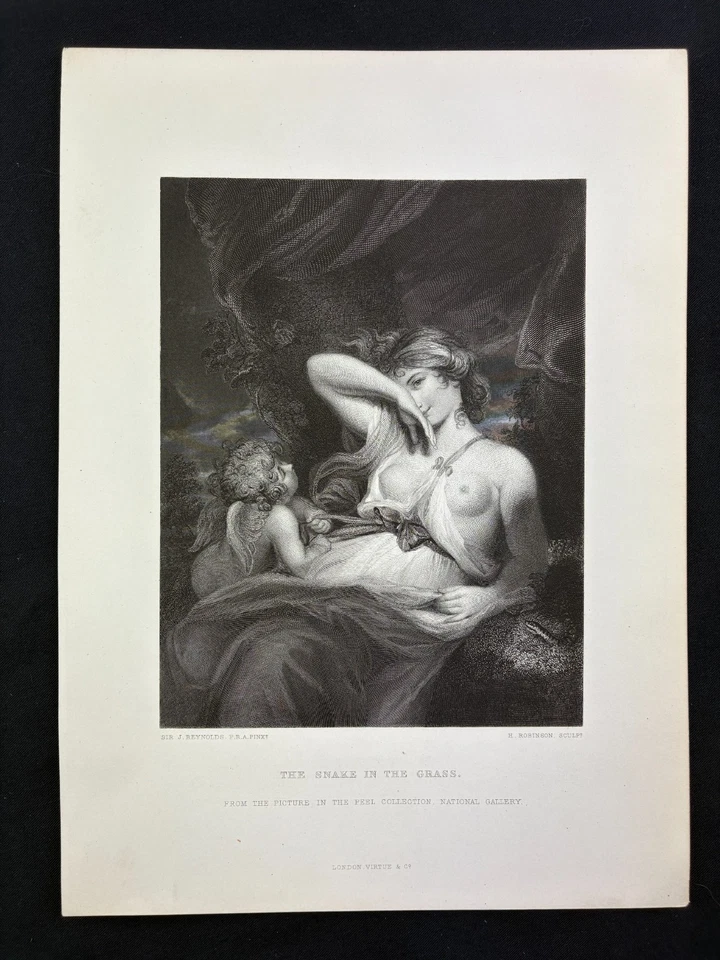 Robinson by Reynolds, The Snake in the Grass, Tafel um 1840 - Bild 2 von 4