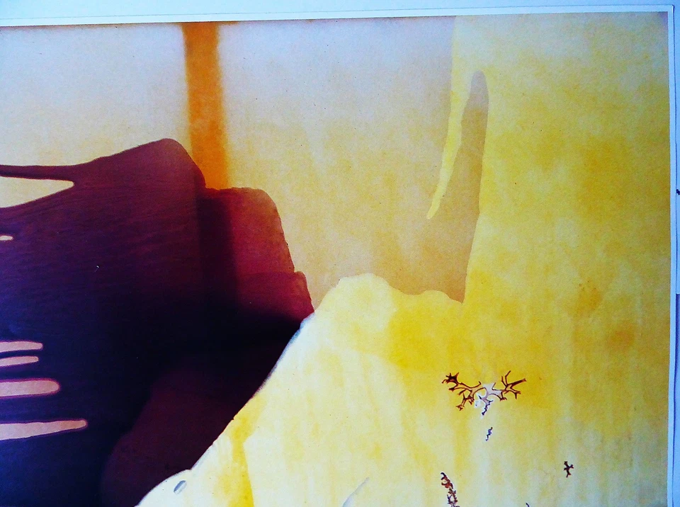 SIGMAR POLKE - "HYPERBORÄISCH" - FARBOFFSETLITHOGRAFIE - 2002 - SIGNIERT!!! - Bild 3 von 4