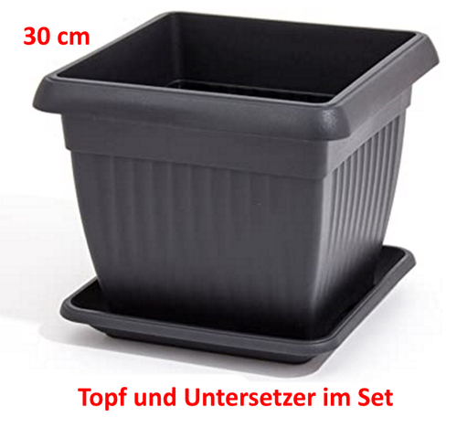 Blumentopf Pflanztopf Blumenkübel Pflanzkübel mit Untersetzer 30 cm