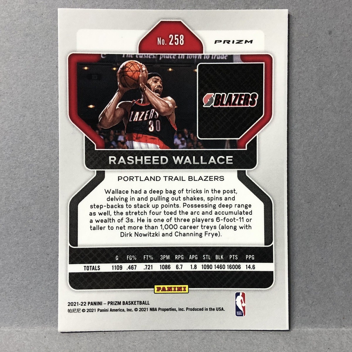 2021-22 Rasheed Wallace Panini Prizm Pink Cracked Ice Prizm