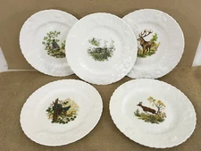 Queens Rosina China Co Fine Bone China England Wildlife Art Salad Plate