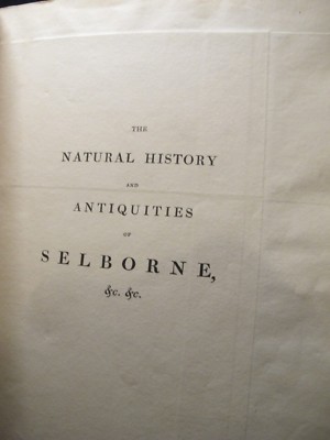 貴重　洋書小型　TheNATURAL HISTORYOF SELBORNE 61SQfZieNSL._UF1000,1000_QL80_.jpg