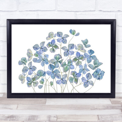Hortensie blau Sommerblume l Garten Pflanze hoch Wandbild Kunstdruck