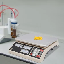 Precision Counting Scale 30 lbs x 0.5g Digital Precision Weight Food Fruit Scale