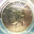 1927 - Peace - Silver Dollar - AU - PCGS-Genine - Cleaned  (VF73)