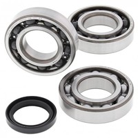 Kurbelwellenlager Satz All Balls Racing Mit Simmerringen 24-1090