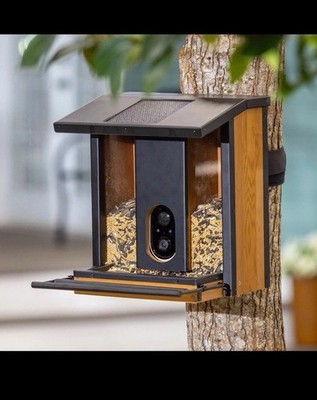 Evergreen Solar Smart Bird Feeder High Tech Bird Watching With Solar & Wifi New