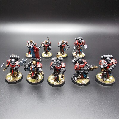 Warhammer 40k Black Templars Crusaders Squad x9 bemalt R3S2B2463