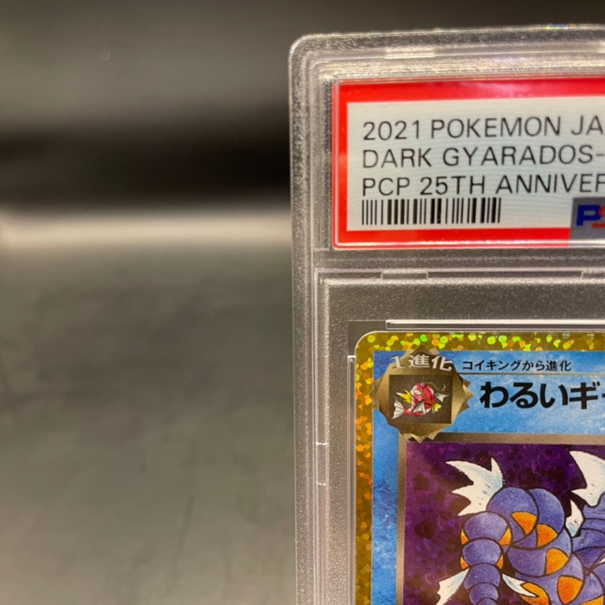 PSA 10 Dark Gyarados 005/025 25th Anniversary JAPANESE