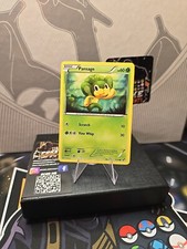 Pansage - 7/114 - Common - Black and White Base - 2010 - Pokémon Card - NM