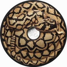 Niue 2025 YEAR SNAKE Rattlesnake $10 5 Oz Silver Gilded BLACK PROOF—MINTAGE 888