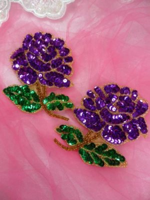 XR51 ~ Silver Mirror Pair Beaded Sequin Appliques ~ 6/"