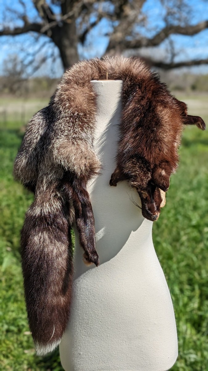 Tanned Brown Fox Pelt with Legs and Tail | eBay